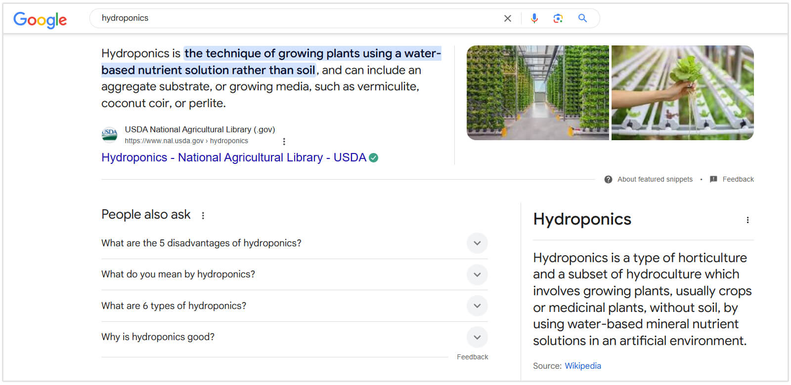 Résultats de recherche sur l'hydroponie